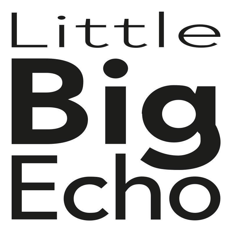 Little Big Echo